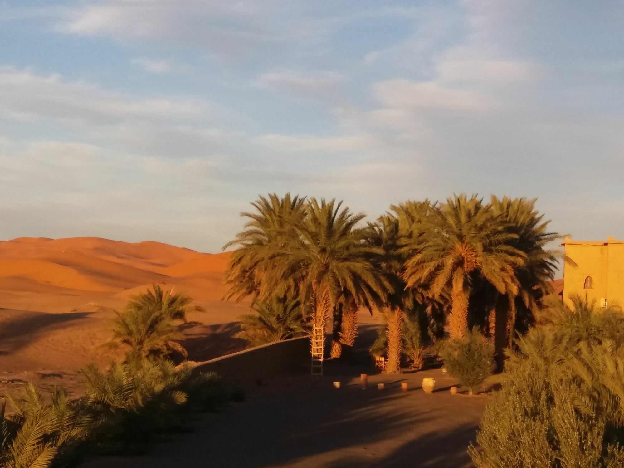 Dar Lola Guest House Merzouga Exterior photo