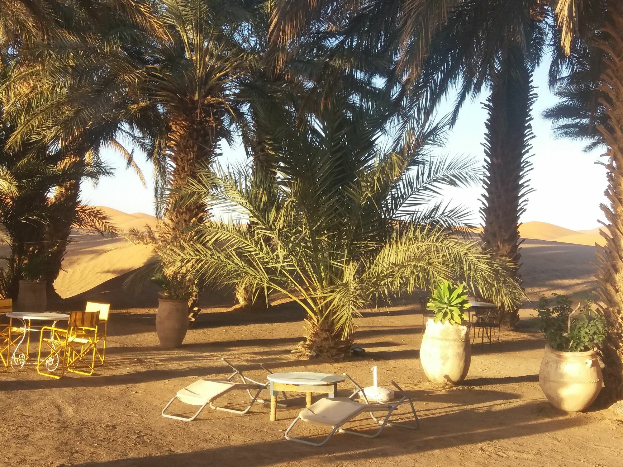 Dar Lola Guest House Merzouga Exterior photo